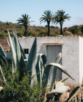CANARIAS